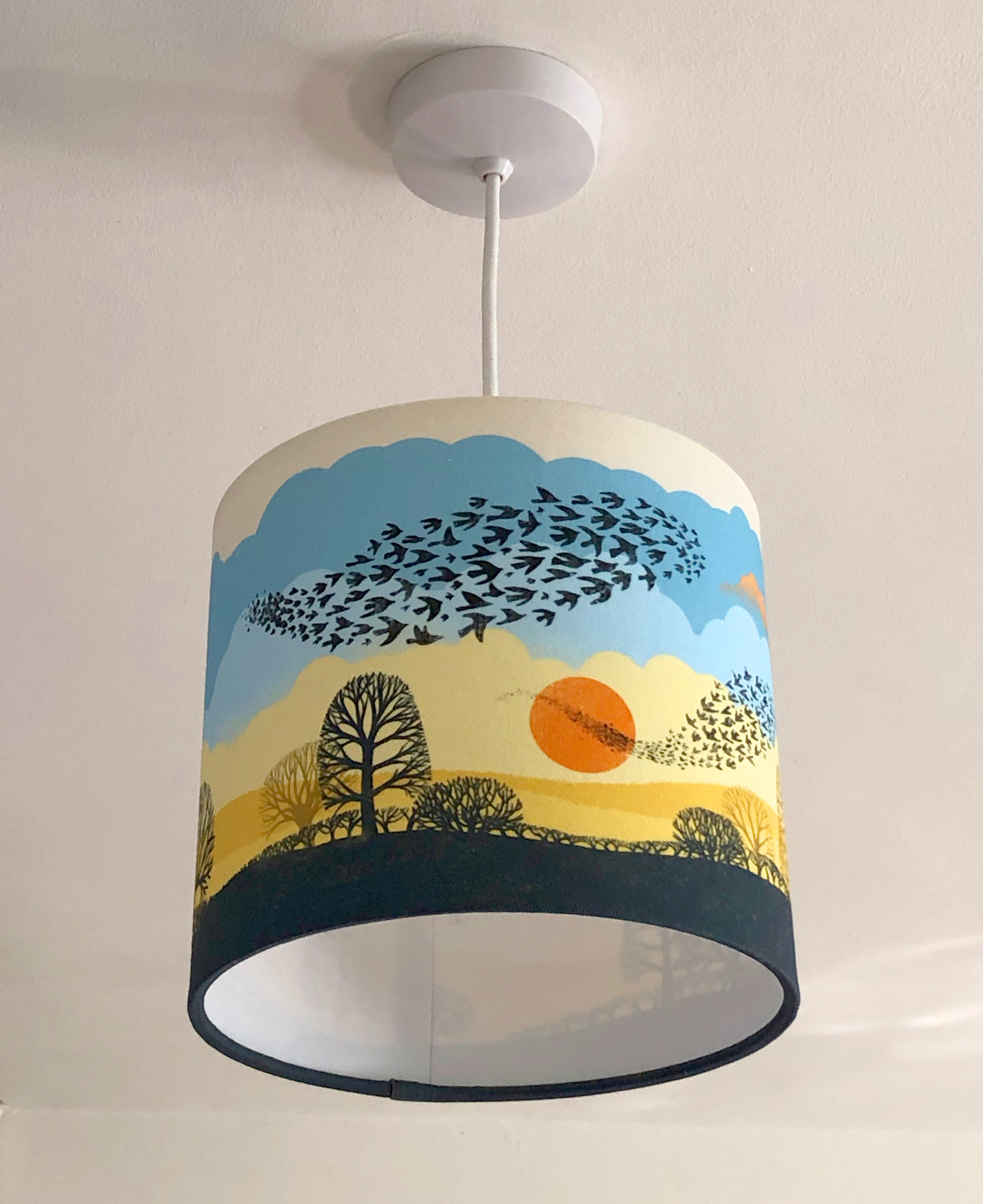20cm Sunset Murmuration ceiling2