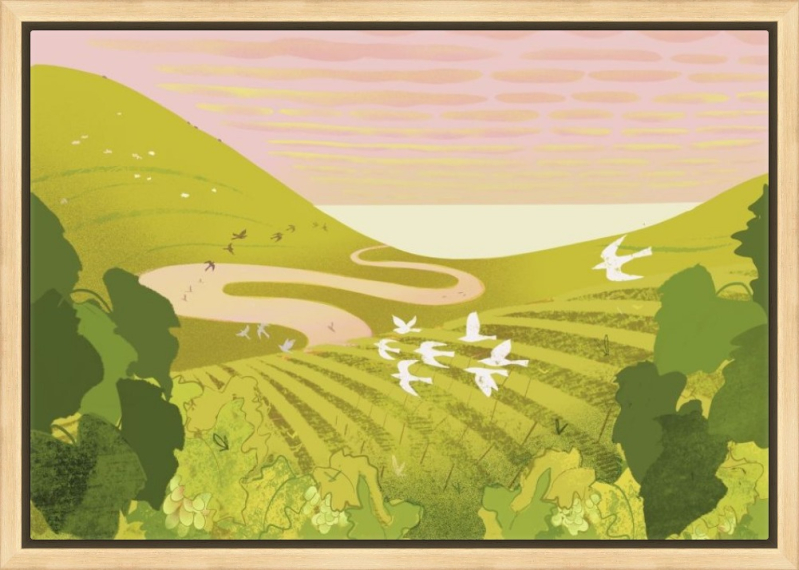 cuckmere rathfinny frame