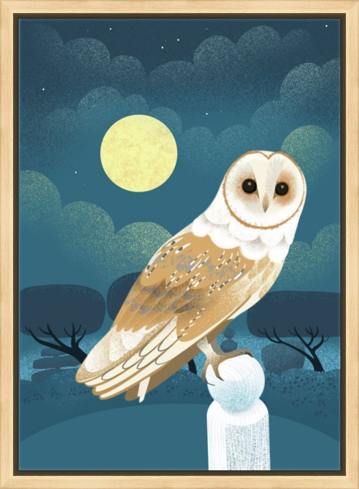 owl canvas print