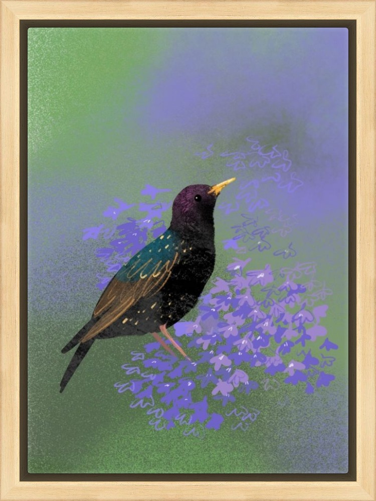 starling in Lobelia